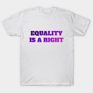 Equality Right Gender Equality T-Shirt